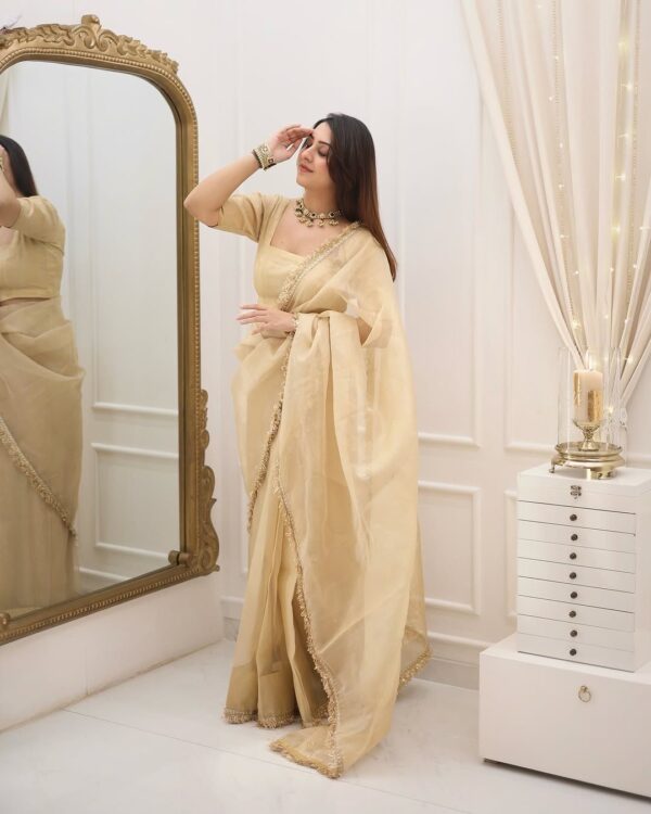 Beautiful saree with gotapati lace border and organa blouse - Image 3