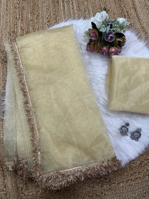 Beautiful saree with gotapati lace border and organa blouse - Image 2